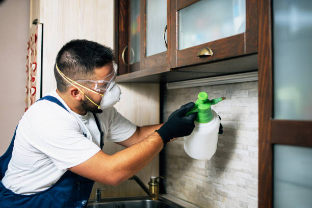 Best Pest Removal Services  in Montpelier, ID