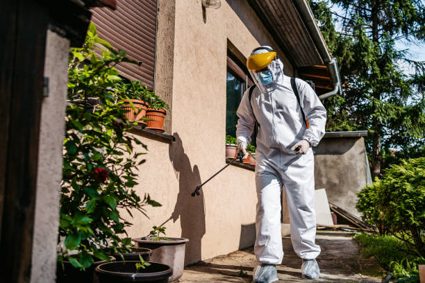 Best Affordable Exterminators  in Montpelier, ID