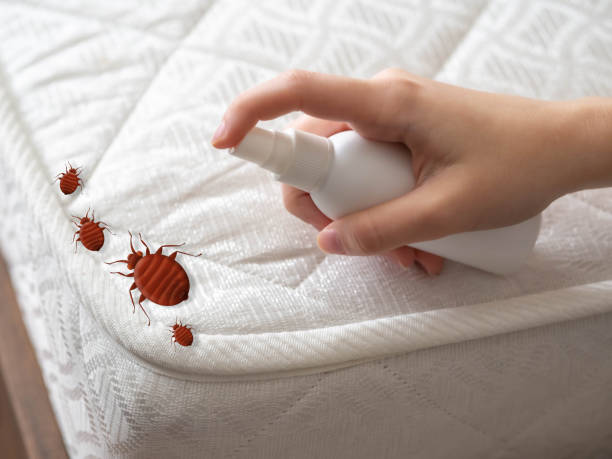 Trusted Montpelier, ID Pest Control Experts