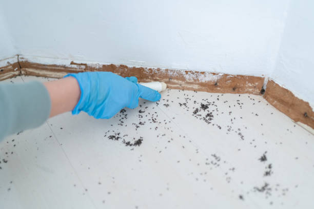 Best Best Pest Control Companies  in Montpelier, ID